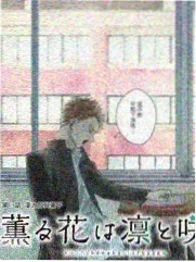 菠萝TV新综艺